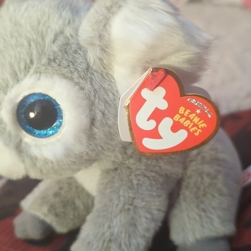 Collectible TY Beanie Boo Babies KooKoo Koala Bear VelveTY 10" 2017 Retired EUC - Picture 2 of 3